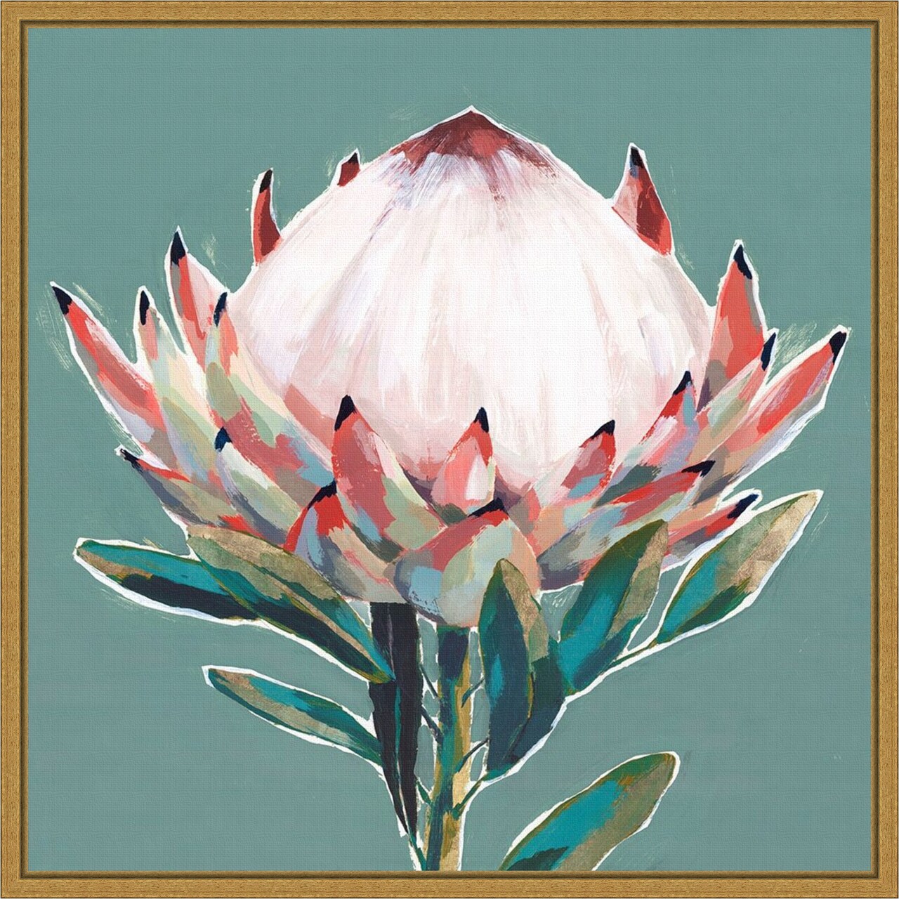 Blooming Pink King Protea Flower by Isabelle Z 16-in. W x 16-in. H. Canvas Wall Art Print Framed in Gold